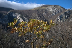 Monte Catria Costa Calecchie
