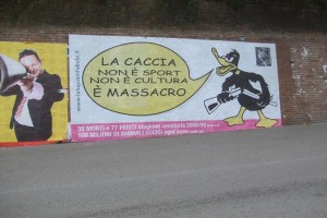 Il manifesto della campagna Lupus contro la caccia affisso ad Urbino