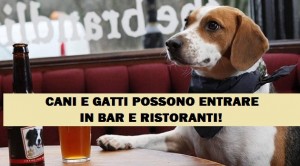 CANI_RISTORANTE