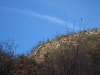 sdc10977