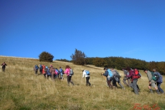 Camminare Pensando 2013