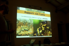 Corso Scienze Naturali 2012