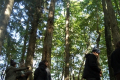 Corso di Scienze Naturali: lezione pratica di ecologia forestale