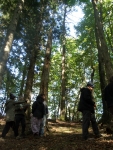 Corso di Scienze Naturali: lezione pratica di ecologia forestale
