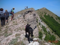 dscn7189
