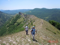 dscn7197