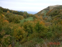 dscn5320