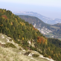 Escursione carpegna 034