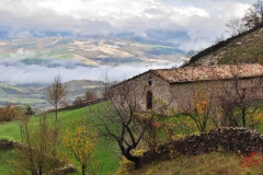 Monte Catria - 24 Novembre 2013