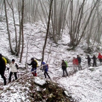 monte catria 049 (2)