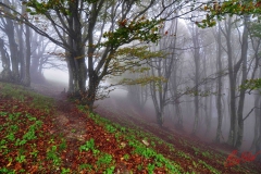 Monte Catria - 26-10-2014