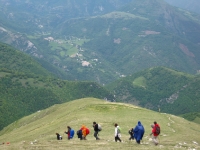 pascelupo-sullo-sfondo