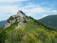 monte-nerone-027