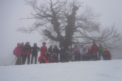Monte Nerone