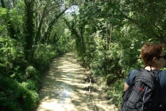 Oasi Badia e Centro Recupero Selvatici