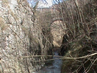 sal-2011-20