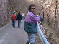 sal-2011-5