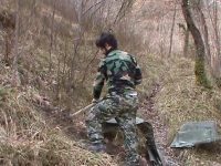 sal-2011-7