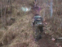 sal-2011-9