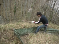 Salamandrina Day 2012