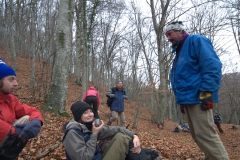 Bosco di Tecchie 