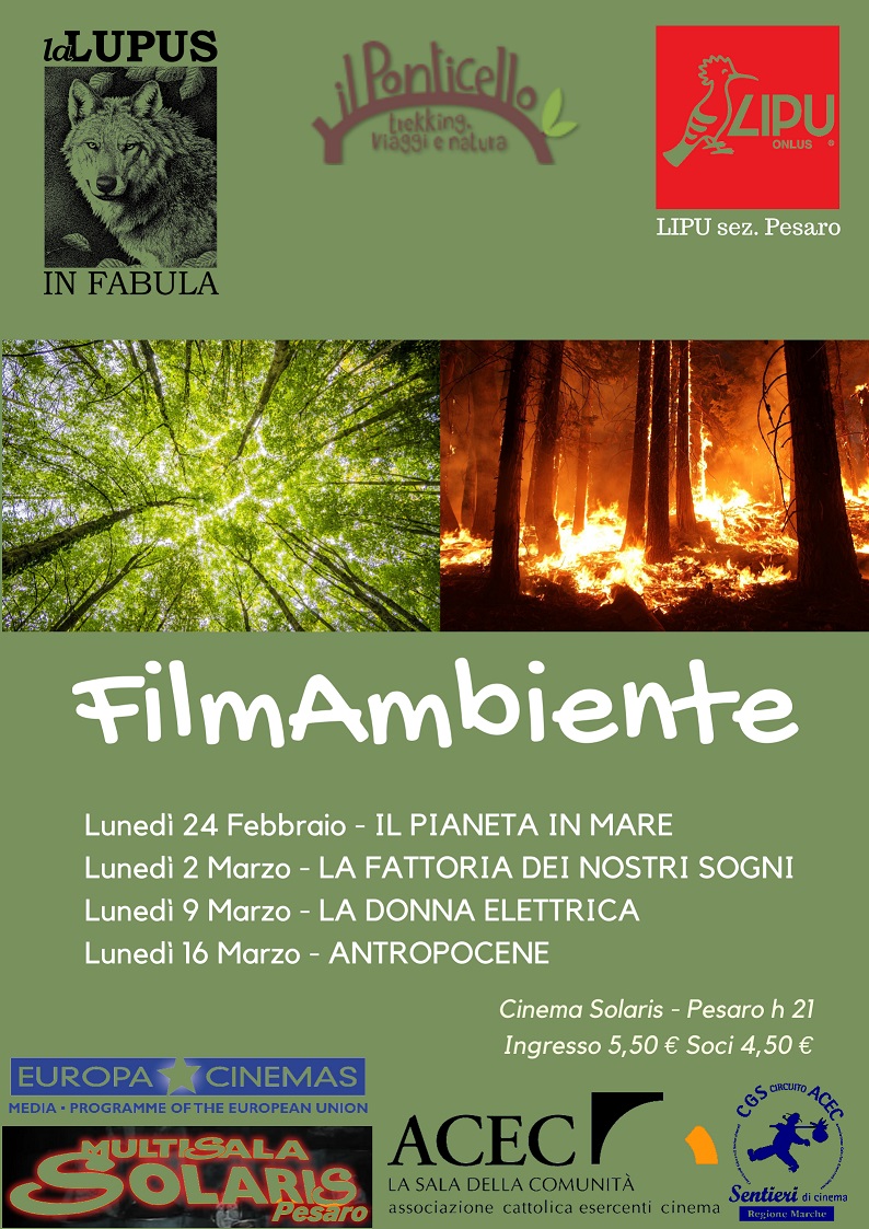 FilmAmbiente edizione 2020