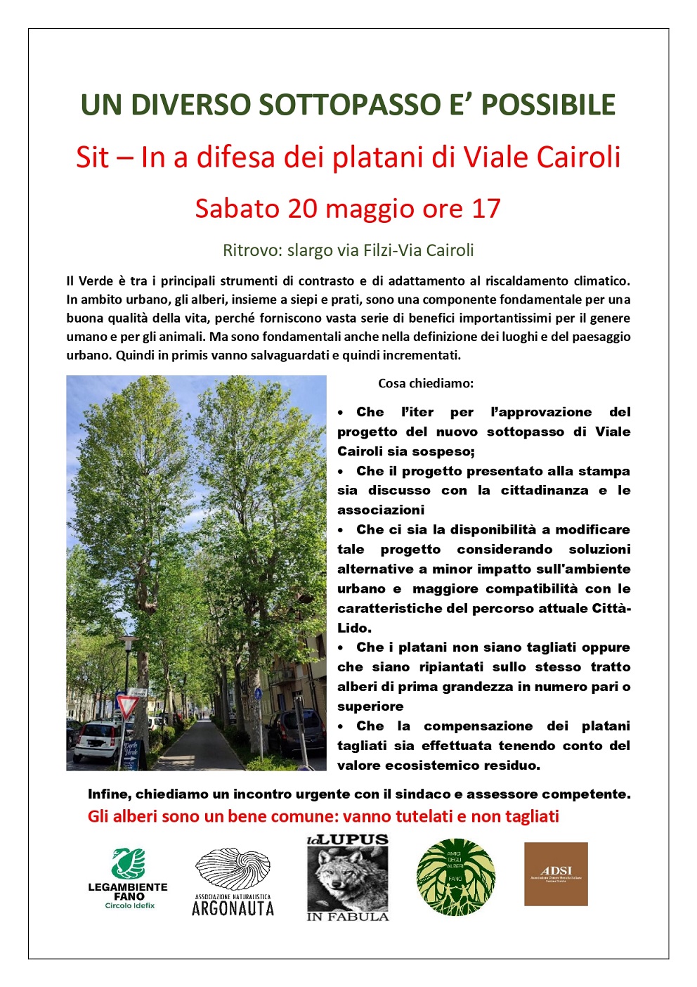 UN DIVERSO SOTTOPASSO E’ POSSIBILE: Sit – In a difesa dei platani di Viale Cairoli a Fano