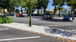 Comunicato stampa – L’ombra effimera del cipresso